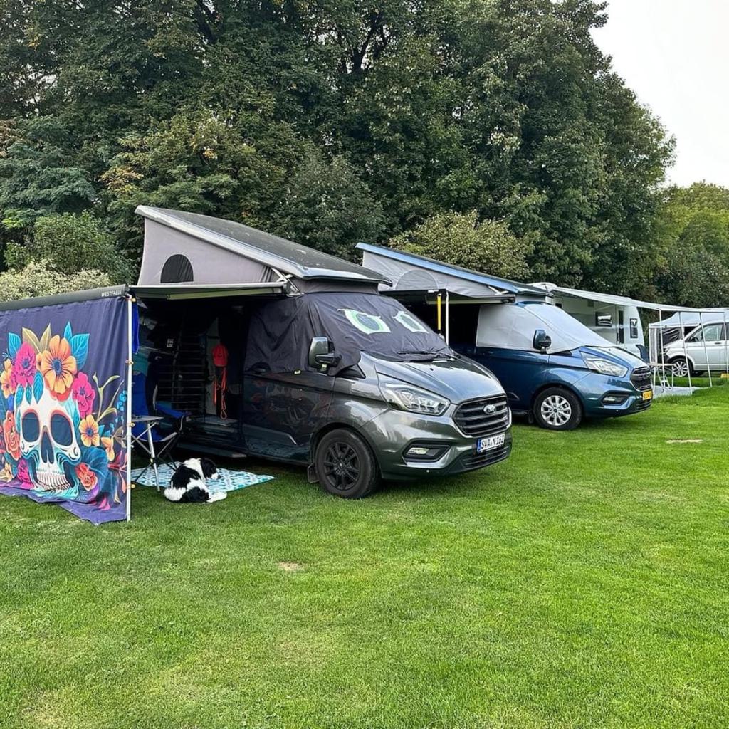 VANDALA Rock'n'Roll - gesichtet auf dem Nugget-Treffen in Remagen