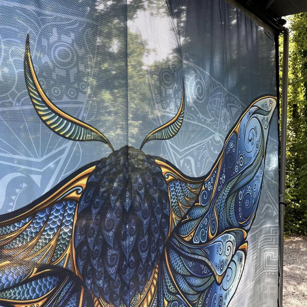 VANDALA Moth Transparenz