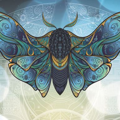 VANDALA Moth B250 x H200 cm