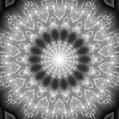 VANDALA Integrität Monochrome