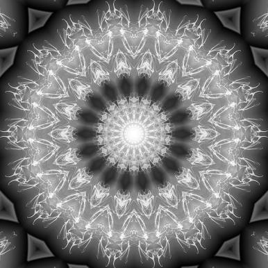 VANDALA Monochrome B250 x H200 cm
