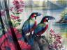 VANDALA Tropical Summer